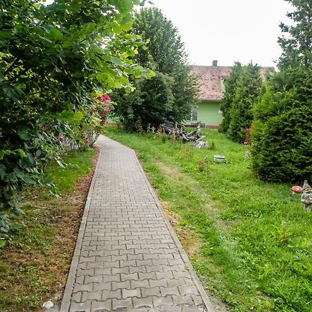 Hotel Marion Poiana Dumbraveni  Buitenkant foto